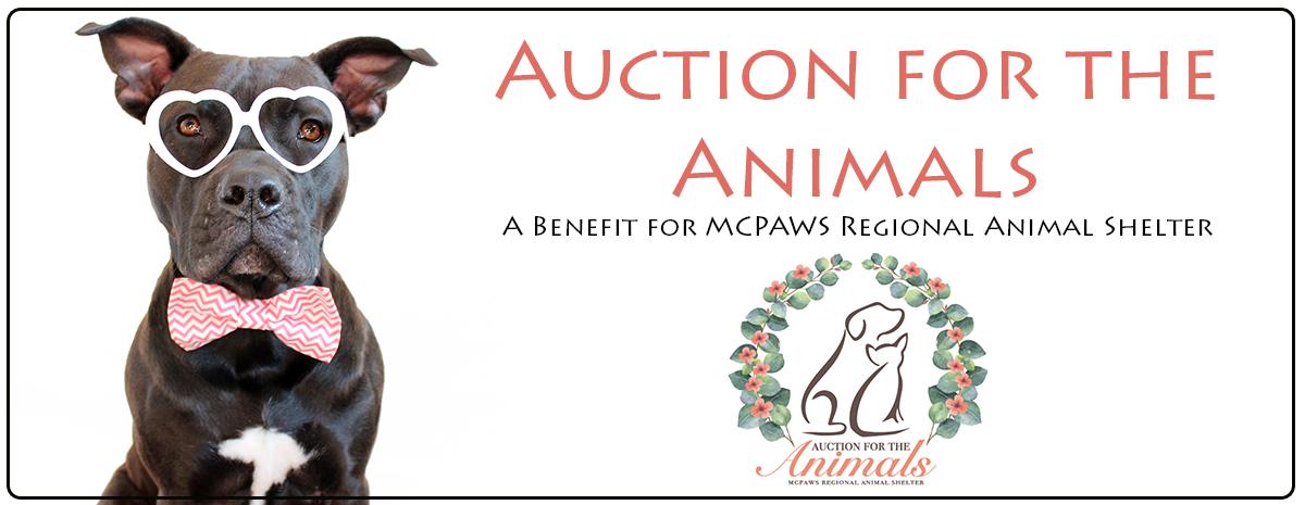 Auction for the Animals